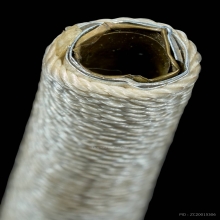 ตะกรุดโทนพ่อมุ่ยสองกษัตริย์