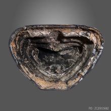 พระพุทธกิตติคุณ อัคคมนุญญาณมุนี