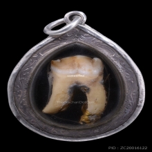 พระทันตธาตุ (ฟันกราม) ของ หลวงปู่มหาศิลา สิริจันโท