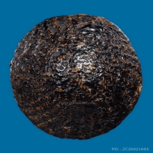 ๙ เบี้ยแก้หลวงปู่บุญ วัดกลางบางแก้ว ๙