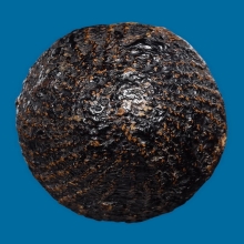 ๙ เบี้ยแก้หลวงปู่บุญ วัดกลางบางแก้ว ๙