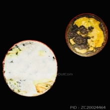 แพ็คคู่ ล็อกเก็ตรูปไข่ หลวงปู่แหวน สุจิณโณ วัดดอยแม่ปั่ง