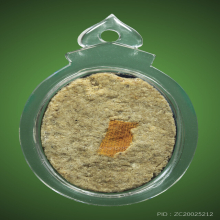 ล็อกเก็ตหลวงพ่อกวย ชุตินฺธโร(นั่งบนไม้กระดาน3แผ่น) ปี2544