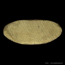 ชินราชอินโดจีน วัดสุทัศน์ฯ พิมพ์ต้อบัวเล็บช้าง ปี2485สภาพสวย