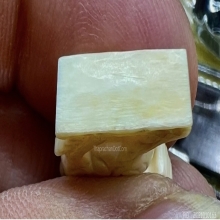 สิงห์งาแกะหัวมังกร สวยมากเดิมๆ ศิลป์ดีหายาก