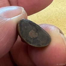 หลวงปู่อินทร์ วัดเขาโบสถ์