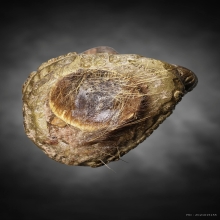 รูปหล่อปู่สิงห์สมิงพรายรุ่นแรก เนื้อสัมฤทธิ์เทดินไทย