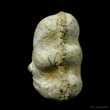 พระปิดตาหลวงพ่อทองสุข วัดสะพานสูง จ.นนทบุรี ปี2495