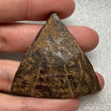 แผ่นกะลาตาเดียวแกะ มีจารเก่าธรรมชาติ