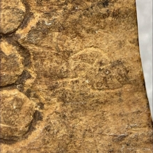 แผ่นกะลาตาเดียวแกะ มีจารเก่าธรรมชาติ