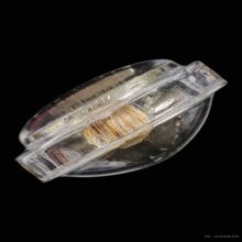 รูปหล่อรุ่นแรก เนื้อเงินพดด้วง หลวงปู่กาหลง เขี้ยวแก้ว