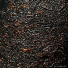 “ตะกรุดครั่งเหลือร้าย”หลวงพ่อทองศุข โตนดหลวง