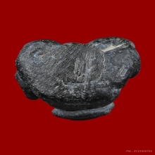 พระปิดตา พ่อแก่น 3 อุ