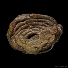 พระปิดตา วัดตานีสโมสร 2485