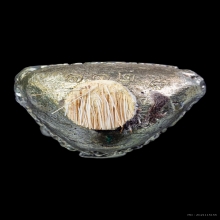 รูปหล่อรุ่นแรก เนื้อเงินพดด้วง หลวงปู่กาหลง เขี้ยวแก้ว