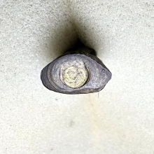 พระชัยวัฒน์ หลวงพ่อโสธร ปี2503  หลังหนังสือนูน ทองเหลือง