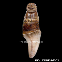 เขี้ยวเสือหลวงพ่อนก วัดสังกะสี ยุคต้นเก่ามาก