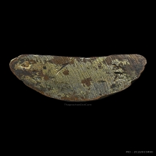 พระพิฆเนศโบสถ์พราหมณ์ 2530