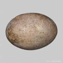 ลูกอมมหาจินดามณี ปลัดปาน วัดตุ๊กตา จ.นครปฐม