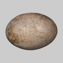 ลูกอมมหาจินดามณี ปลัดปาน วัดตุ๊กตา จ.นครปฐม