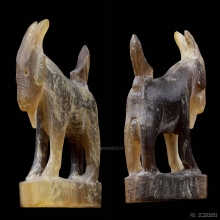 แพะหลวงพ่ออ่ำวัดหนองกะบอก 