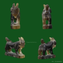 แพะหลวงพ่ออ่ำวัดหนองกะบอก 