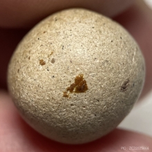 ลูกอมหลวงพ่อสงวน วัดไผ่พันมือ (แบบผิวขัดมัน)