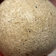 ลูกอมหลวงพ่อสงวน วัดไผ่พันมือ (แบบผิวขัดมัน)