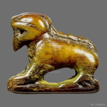 เสือมหาอำนาจ หลวงปู่ยิ้ม วัดหนองบัว กาญจนบุรี