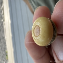 น้ำเต้าดูดทรัพย์ วัดปากน้ำ รุ่นแรก เชือกเดิม สวยมาก