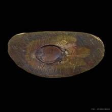 รูปหล่อหลวงพ่อเงินรุ่นช้างคู่ปี 2526 บล็อกแตกนิยม