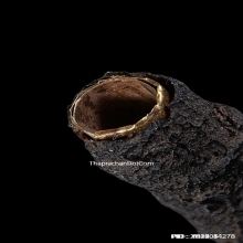 ตะกรุดสาริกาหลวงปู่เอี่ยม วัดหนัง เนื้อทองคำ