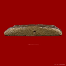 ชินราชอินโดจีน 2485 พิมพ์ครึ่งซีก 