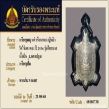 เหรียญพญาเต่าเรือน รุ่นไตรมาส หลวงปู่หลิว วัดไร่แตงทอง ปี36