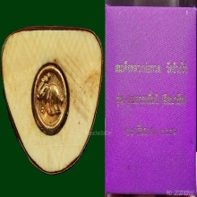 คชสารหมื่นปี 