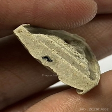 พระประธานหลวงปู่โต๊ะ วัดประดู่ฉิมพลี ปี 2521 (กลีบบัวเล็ก)