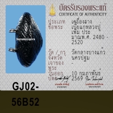 เบี้ยแก้ หลวงปู่เพิ่ม วัดกลางบางแก้ว ( จบแท้ )