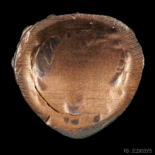 กริ่งสัมฤทธิ์ผล ลพ.เอื้อน วัดวังแดงใต้ นวะโลหะ หมายเลข 81