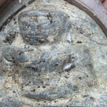 พระหลวงพ่อโต บางกระทิง จ.อยุธยา