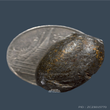 ลูกสะกด หลวงพ่อเนียม วัดน้อย