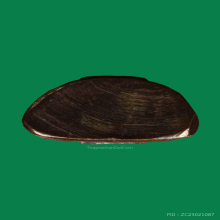 พระกริ่งหลวงพ่อโสธรปี2508หน้าใหญ่B