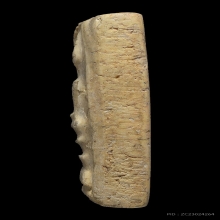 สมเด็จวัดระฆัง 100 ปี พิมพ์เส้นด้ายใหญ่ บล็อกนิยม (2)