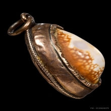 เบี้ยแก้หลวงพ่อนุ่ม วัดนางใน อ่างทอง