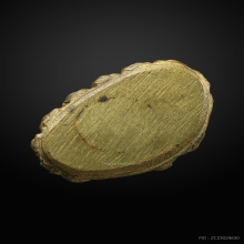 พระกริ่งวัดตรีทศเทพ