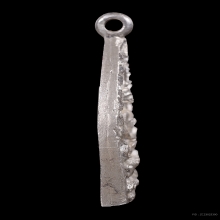 เหรียญเจ้าสัว2 วัดกลางบางแก้ว  เนื้อเงินสวยแชมป์