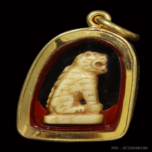 เสือเก่า