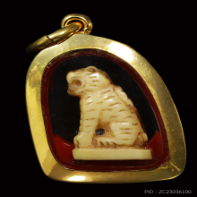 เสือเก่า