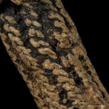 ตะกรุดหน้าผากเสือ หลวงพ่อเต๋ วัดสามง่าม 