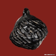 เบี้ยแก้หอยโข่งหลวงปู่เอี่ยม วัดหนัง