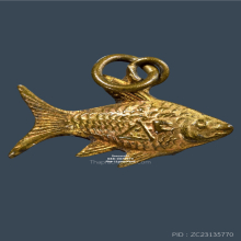 ปลาตะเพียน(ปลาทอง) หลวงพ่อจง วัดหน้าต่างนอก